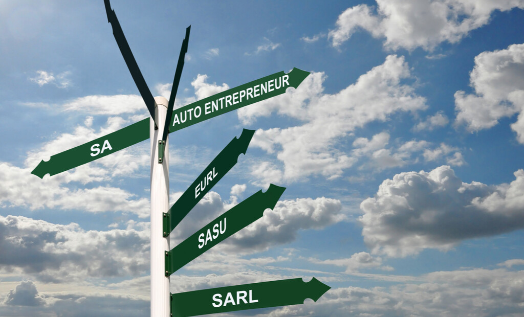 Quel type d'entreprise est fait pour vous ?